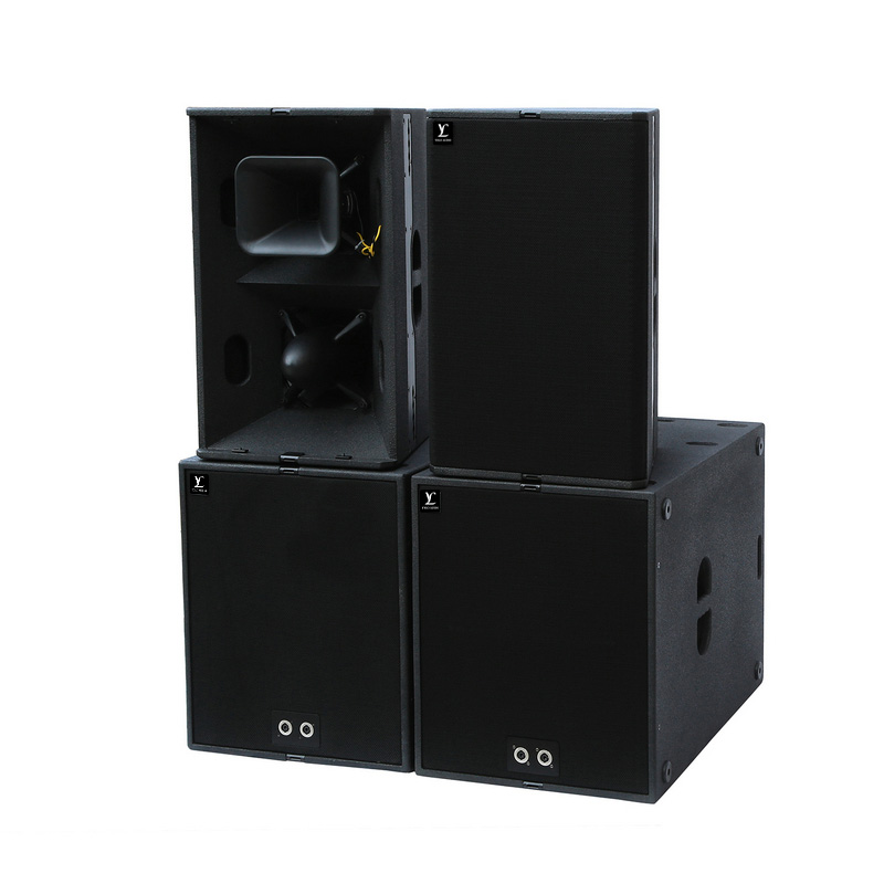 T24N Dual 12 Inch Loudspeaker With Excellent Speech Intelligibility And Musicality
