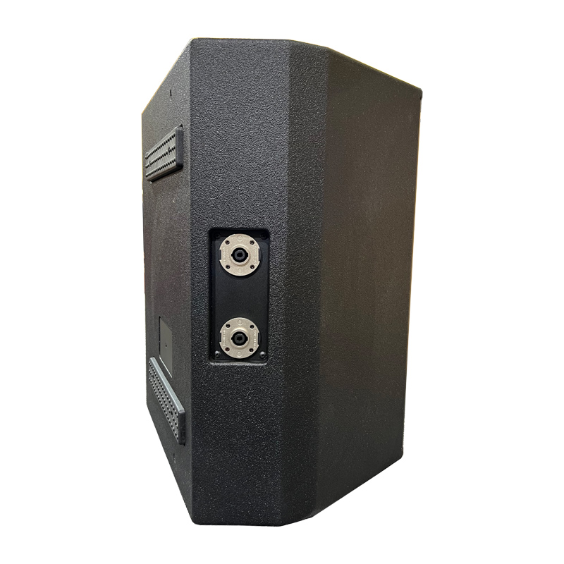 3.Monitor speaker, stage monitor speaker.jpg